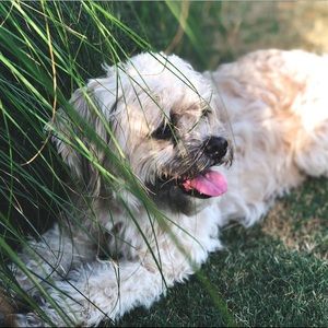 Meet your Posher, Ruth